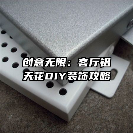 �������ޣ��������컨DIYװ�ι���