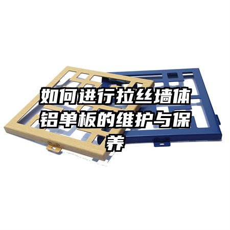 ��ν�����˿ǽ���������ά���뱣��