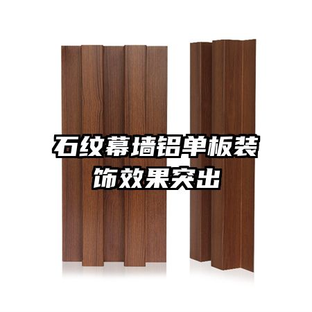 ʯ��Ļǽ������װ��Ч��ͻ��