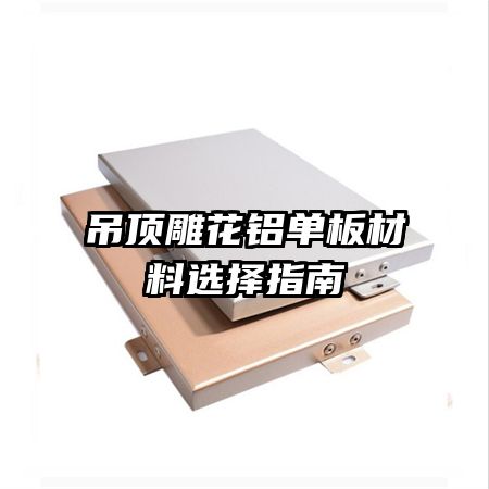 ���������������ѡ��ָ��