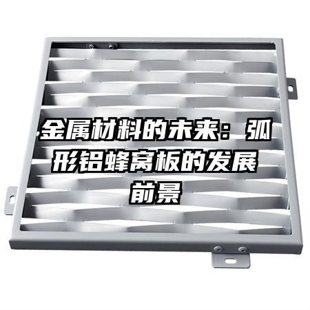 �������ϵ�δ�������������Ѱ�ķ�չǰ��