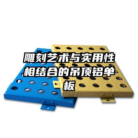 ���������ʵ�������ϵĵ���������