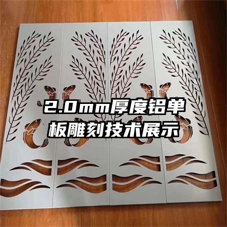 2.0mm����������̼���չʾ