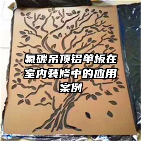 ��̼����������������װ���е�Ӧ�ð���