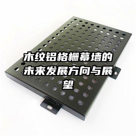 ľ������դĻǽ��δ����չ������չ��