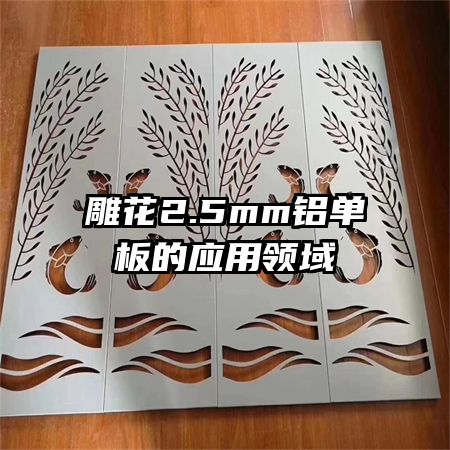 ��2.5mm�������Ӧ������