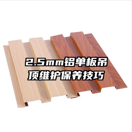 2.5mm���������ά����������