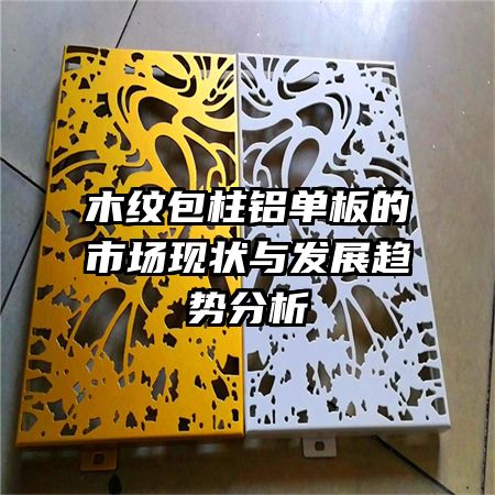 ľ�ư�����������г���״�뷢չ���Ʒ���