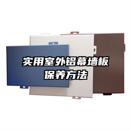 ʵ��������Ļǽ�屣������