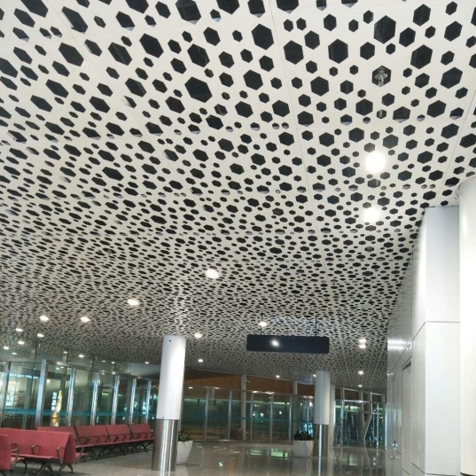 ���׵���������