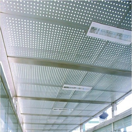 ��׵���������