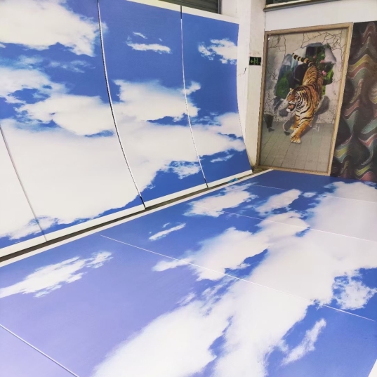 �ʻ�Ļǽ������