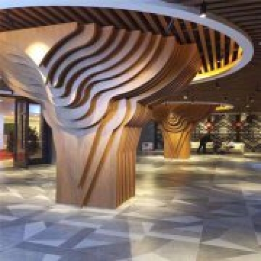 ����Ļǽ������